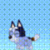 Avatar for SetNone