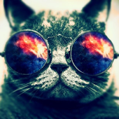 Avatar für t9mp