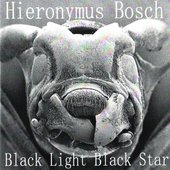 Black Light / Black Star