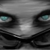Avatar for Mat-G