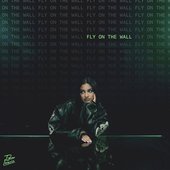 fly on the wall - Single