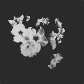 LastFM profile picture for @bloom