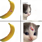 camvace 的头像