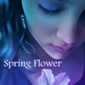 Spring Flower