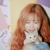 송하영