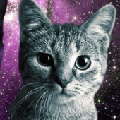 Avatar for thursdayboy8