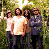 The Sheepdogs