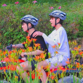 VALE2019 的头像