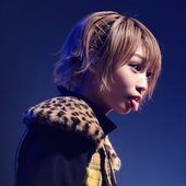 モモコグミカンパニー7.jpg