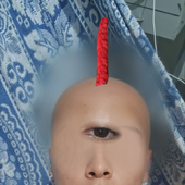 diogaomolestia 的头像