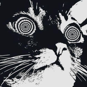 SillyLittleCat 的头像