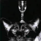 LastFM profile picture for @Trickery