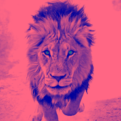 Avatar for strokeeer