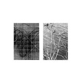 Horizonal C​.​01.jpg