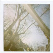 Fall