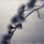 Spires
