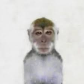Avatar for htmledu