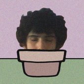 niñopolar