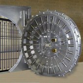 Born in a Vault