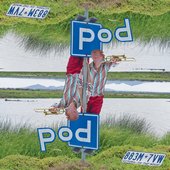 Pod