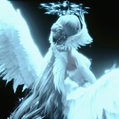lesfairy 的头像