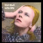 Hunky Dory with border no logo.PNG