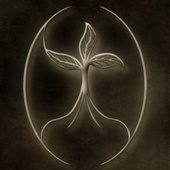 AN logo