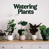 Watering Plants.jpg