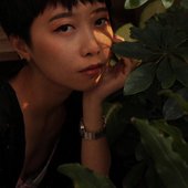 Trang