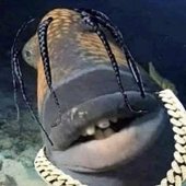 travi fish.jpg