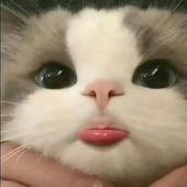 krystel_claire 的头像