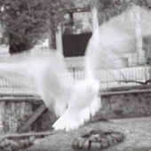 CnP_02012025_172124.png