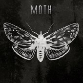 Moth