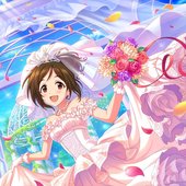 えにしの結び手.jpg