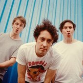 the wombats 2017