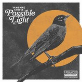 Possible Light, Pt. 1