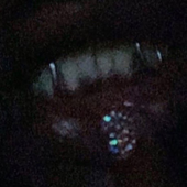 Avatar for BetaLxrd