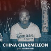 China Charmeleon-02.jpeg