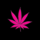 Avatar for offkeii