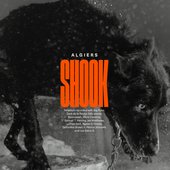 Shook (Deluxe Edition) [Explicit]