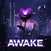 Awake