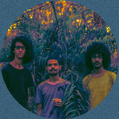 palamar.png