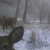 IMG_20221211_230606.jpg