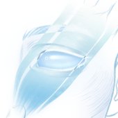 iv.jpg