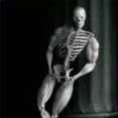everyskeleton 的头像