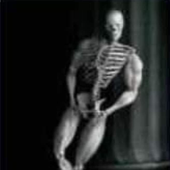 everyskeleton için avatar