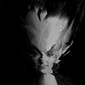 image3A53232_mirror.png