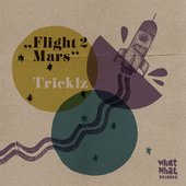 Flight To Mars