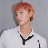 I'll Never Love Again