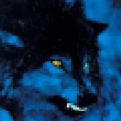 LastFM profile picture for @darned